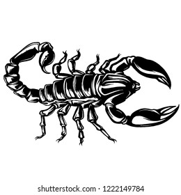 vector of a Scorpion illustration on isolated background