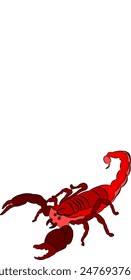 Vektorgrafik Skorpion in Rot in der Natur