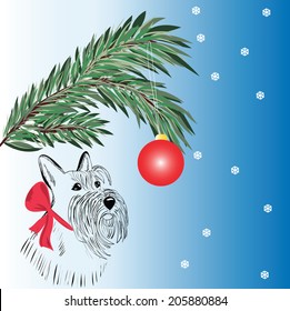 vector Scottish Terrier dog with bow and fir branch Christmas-tree ball