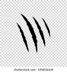 Vector scratch isolated on light transparent background, wild animal, black abstract lines.