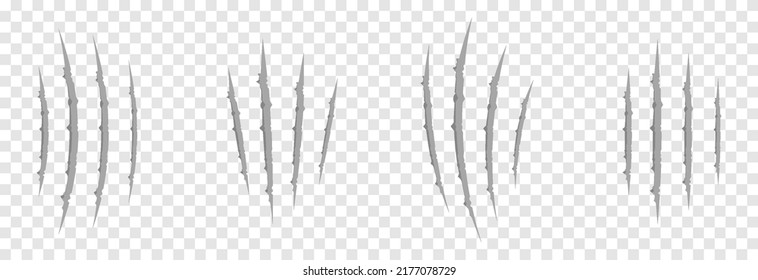 Vector scratches from the claws of the animal PNG. Set of various scratches on an isolated transparent background. Gray scratches PNG. Animal claws.