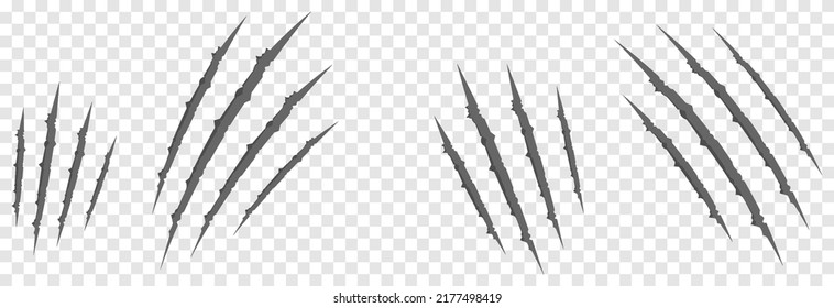 Vector scratches from the claws of the animal PNG. Scratches on an isolated transparent background. Gray scratches PNG. Animal claws.