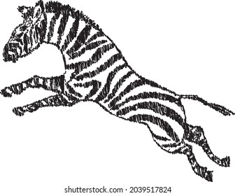 Vector scribble drawing of jumping striped african zebra