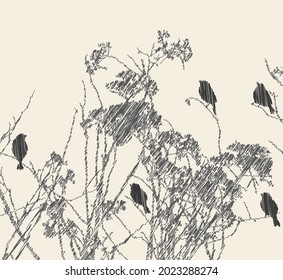 Vector scribble drawing of silhouettes birds sitting on dry wildflowers 