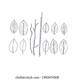vector scribble leaves for fabric motifs, bed sheets, book covers, plant vectors