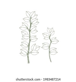 vector scribble leaves for fabric motifs, bed sheets, book covers, plant vectors