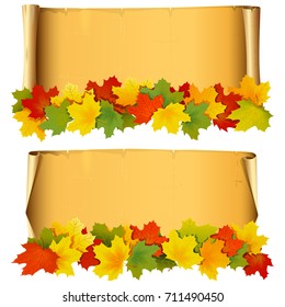 Vector Scroll with Autumn Leaves