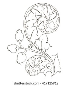 Vector scroll. Ornament engraving floral. Acanthus foliage swirl decorative design element filigree.