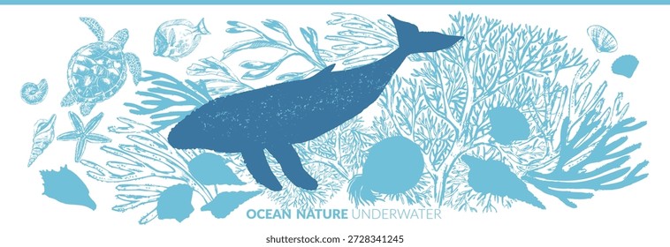 Fondo de animales marinos de Vector. Silueta de ballena azul con conchas, algas, estrellas de mar, nautilus, corales, siluetas de tortugas marinas. Vida marina salvaje.
