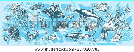 Vector sea animals background set. Ink sketch of whale, dolphin, shark, octopus, crab, lobster, sea horse, sea turtle, jellyfish, starfish, manta, eagle ray, nautilus, coral fish. 
