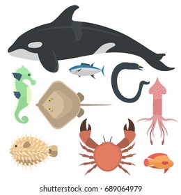 Vector sea animals creatures characters cartoon ocean underwater aquarium life water graphic aquatic tropical beasts illustration