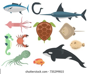 Vector sea animals creatures characters cartoon ocean underwater aquarium life water graphic aquatic tropical beasts illustration