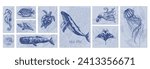 Vector sea animals illustration set. Navy blue sketch of whale, octopus, crab, seahorse, sea turtle, jellyfish, starfish, manta ray, shells, coral fish. Wild life ocean creature vintage poster.