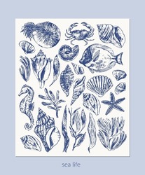Vector Sea Animals Illustration Set. Navy Blue Sketch Of Crab, Seahorse, Starfish, Nautilus, Coral Fish, Shell, Seaweed. Wild Life Ocean Creature Vintage Poster.