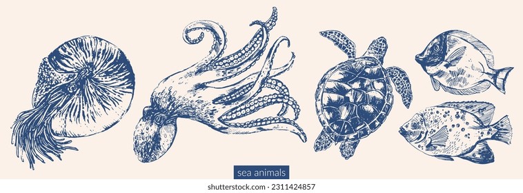 Vector sea animals illustration set. Blue ink sketch of octopus, sea turtle, coral fish, nautilus. Wild life ocean creature drawing.