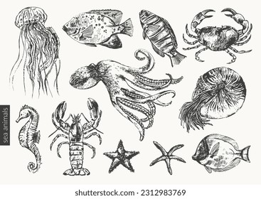 Vector sea animals illustration set. Black ink sketch of octopus, crab, lobster, sea horse, jellyfish, starfish, nautilus, coral fish. Wild life ocean creature drawing.