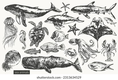 Vector sea animals illustration set. Black ink sketch of whale, dolphin, shark, octopus, crab, lobster, sea horse, sea turtle, jellyfish, starfish, manta ray, nautilus, coral fish.