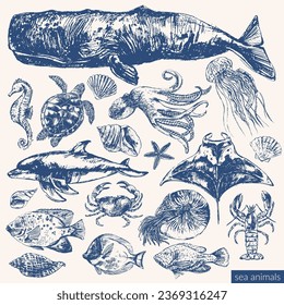 Vector sea animals illustration set. Ink sketch of cashalot sperm whale, seahorse, sea turtle, nautilus, lobster, octopus, jellyfish, manta ray, shell, fish. Wild life ocean creature drawing.