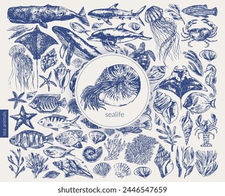 Vector sea animals illustration set. Ink sketch of whale, dolphin, shark, octopus, crab, lobster, sea horse, sea turtle, jellyfish, starfish, manta, eagle ray, nautilus, coral fish.