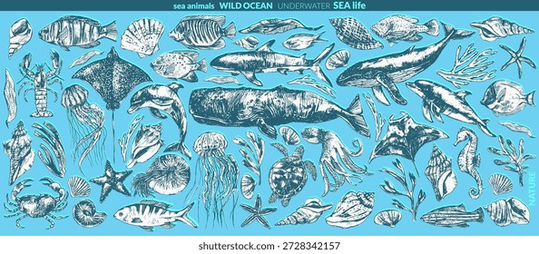 Vektorgrafik von Meerestieren. Tintenskizze von Wal, Delfin, Hai, Tintenfisch, Seepferdchen, Meeresschildkröte, Quallen, Seestern, Mantas, Adlerrochen, Nautilus, Korallenfischen. Meerestier-Zeichnung.