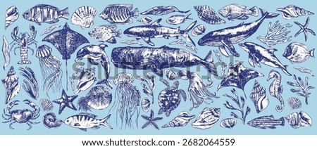Vector sea animals illustration set. Ink sketch of whale, dolphin, shark, octopus, seahorse, sea turtle, jellyfish, starfish, manta, eagle ray, nautilus, coral fish. Wild life ocean creature drawing.