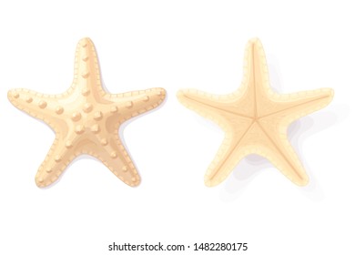 vector sea beach object clipart