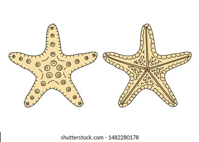 vector sea beach object clipart