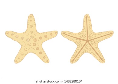 vector sea beach object clipart