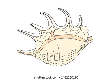 vector sea beach object clipart