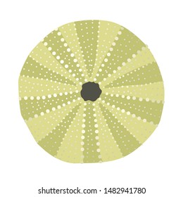 vector sea beach object clipart