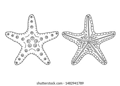 vector sea beach object clipart