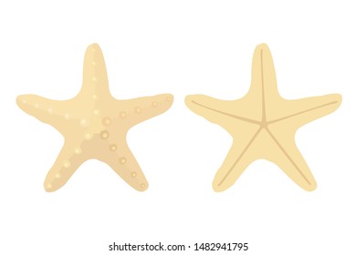 vector sea beach object clipart
