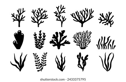 Vector sea collection seaweed and corals. Doodle illustrations. Hand drawn, not AI