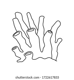  Vector sea coral isolated on white background. Outline vector illustration in doodle style.