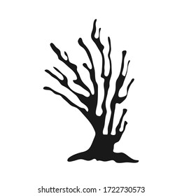  Vector sea coral isolated on white background. Outline vector illustration in doodle style.