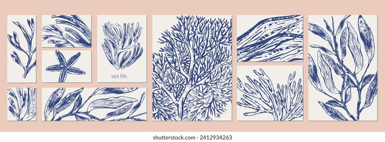 Vector sea creatures background set. Navy blue sketch of corals, seaweed, underwater plants, starfish. Wild life ocean creature vintage cards and posters.