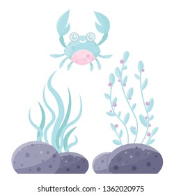 Vector sea cute crayfish. Crab in plants.