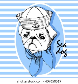 Vector sea dog. Sailor dog in a hat. 