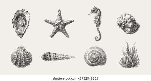 Elementos mar Vector efecto