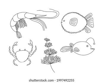 Juego de doodles para peces marinos vectores. Dibujo manual de la vida marina. diferentes tipos de peces, cangrejos, camarones, plantas marinas.