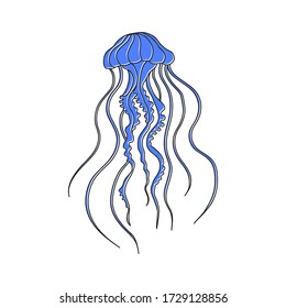 Vector sea jellyfish isolated on white background. Blue silhouette jellyfish with black outline. 