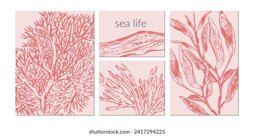 Vector sea life background set.  Wild life ocean creatures and seaweeds poster in coral red color.