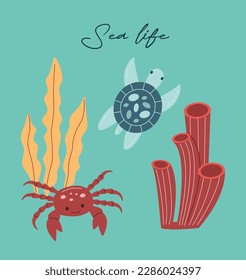 Vector sea life poster with lettering sea life and crab, turtle, seaweed.