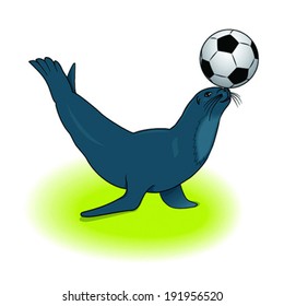vector sea lion with a ball