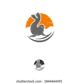 Vector sea lion logo design template,