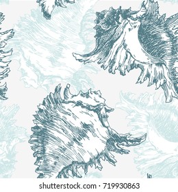 Vector sea pattern sketch shell