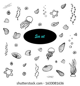 Vector sea set. Black-white image of shells, algae, jellyfish and air bubbles. Isolated on a white background. Set of pictures with a nautical theme, vacation by the sea. For the design of textiles, w