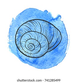 vector sea shell at blue watercolor background, hand drawn illustration
