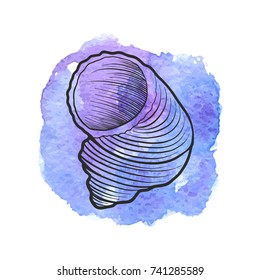 vector sea shell at blue watercolor background, hand drawn illustration