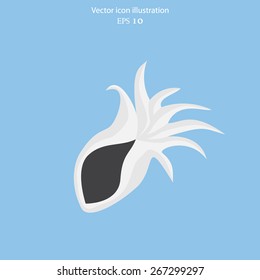 Vector sea shell flat icon illustration.